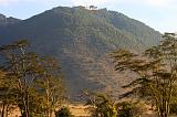 TANZANIA - Ngorongoro Crater - 83